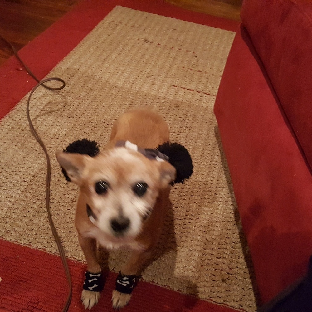 Meet your Posher, Roslyn